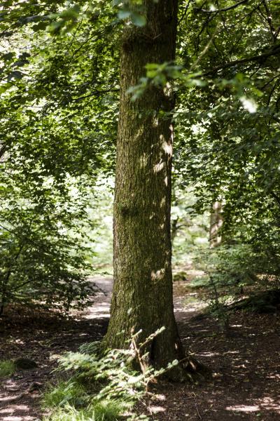image12.jpg