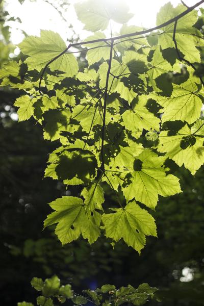 image13.jpg
